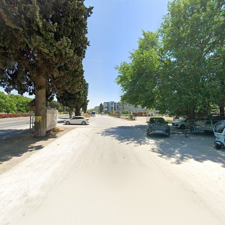 Fotoğraf 8