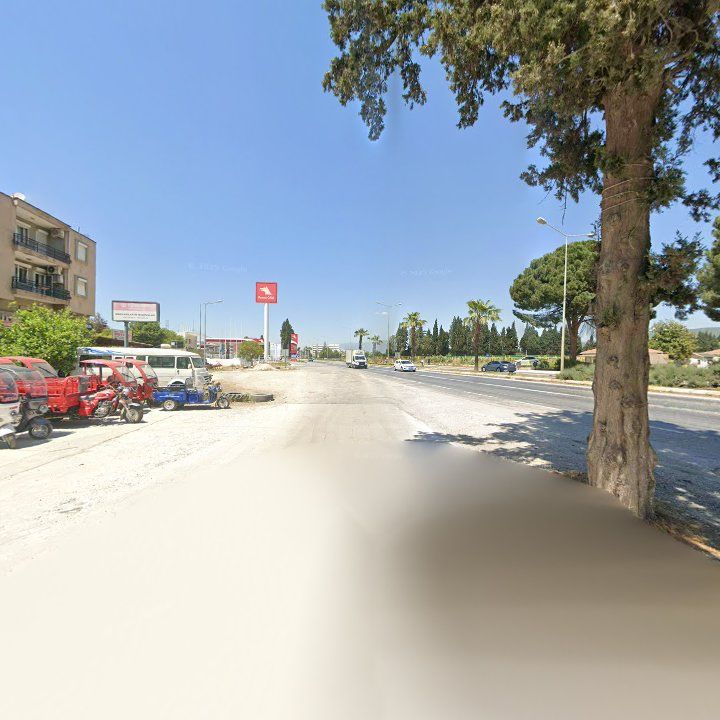 Fotoğraf 6