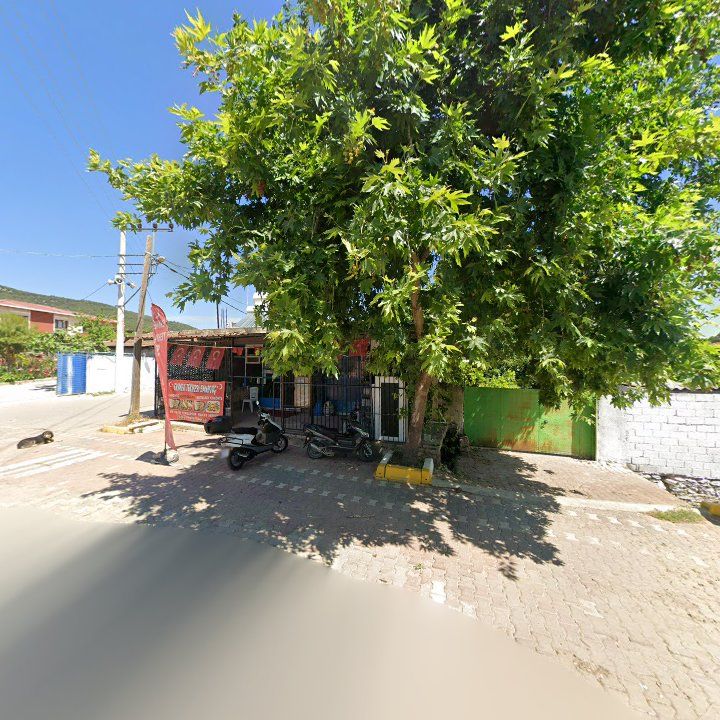 Fotoğraf 3