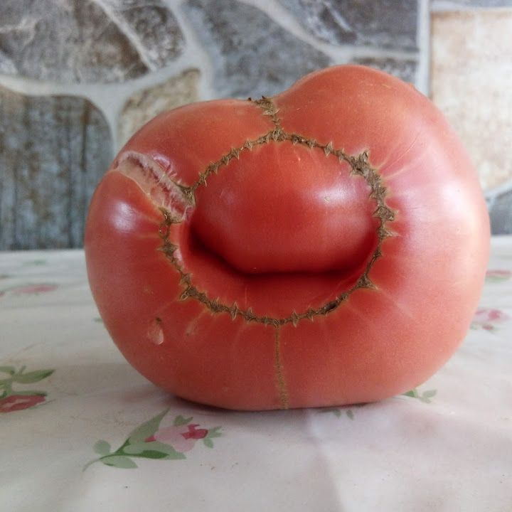 Özbey Kıraathanesi