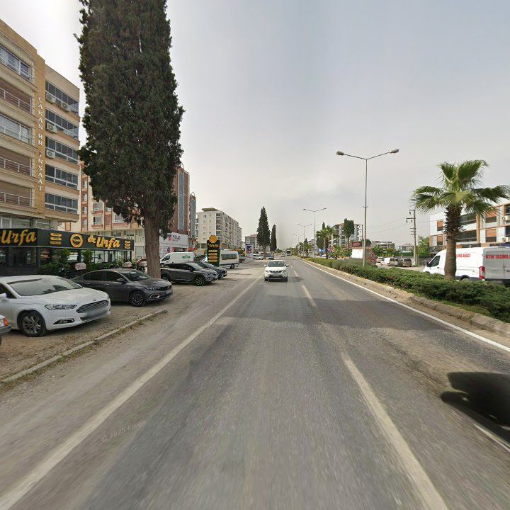 Fotoğraf 12