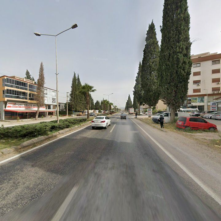 Fotoğraf 14