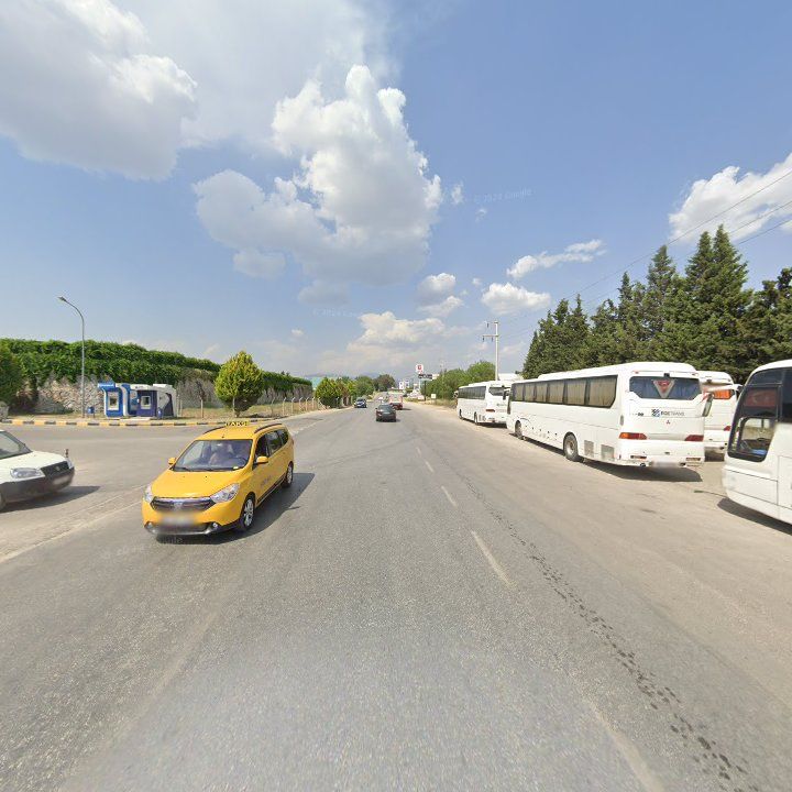 Fotoğraf 9