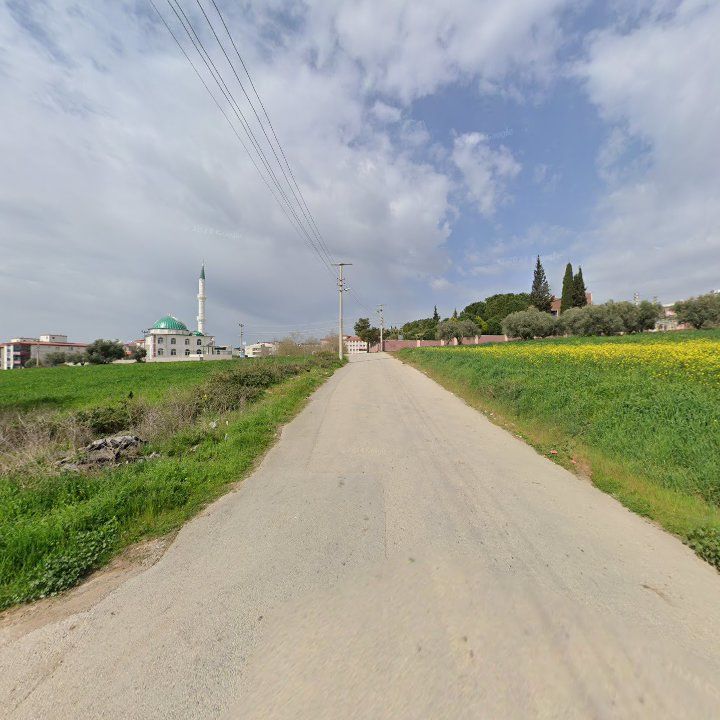 Fotoğraf 4