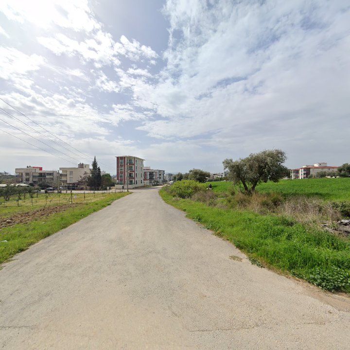Fotoğraf 3