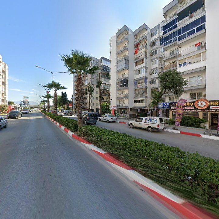 Fotoğraf 9