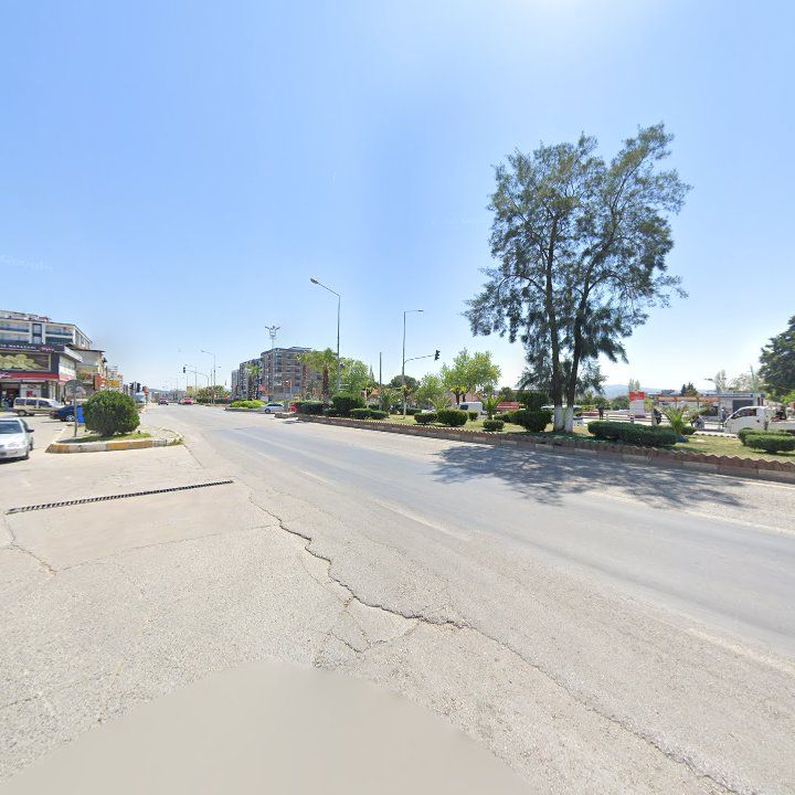 Fotoğraf 8
