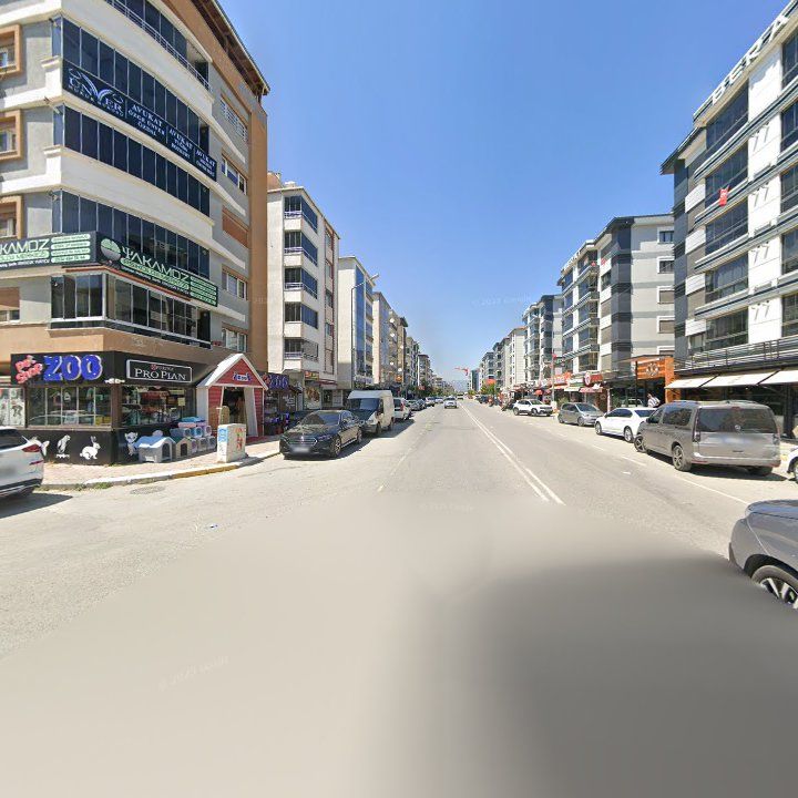 Fotoğraf 9