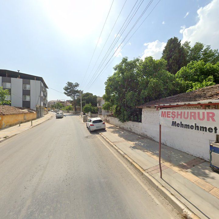 Fotoğraf 6
