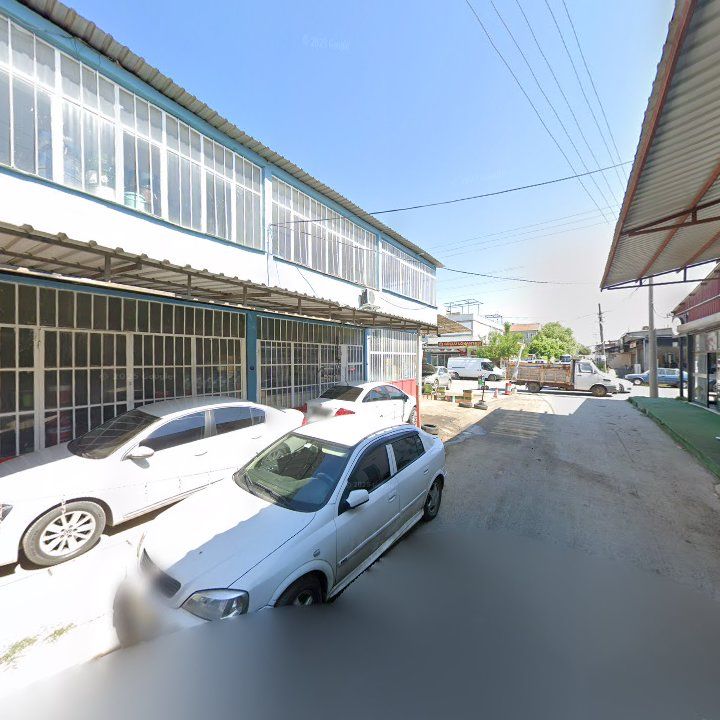 Fotoğraf 6