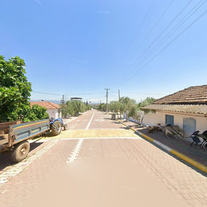 Fotoğraf 9