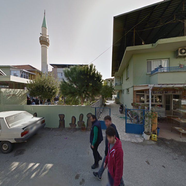 Fotoğraf 6