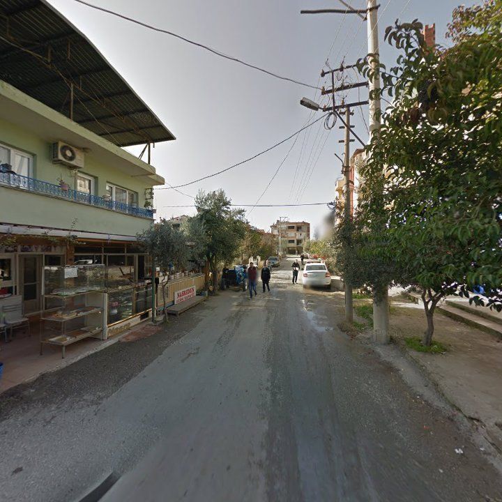 Fotoğraf 7
