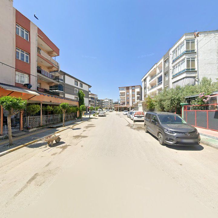 Fotoğraf 10