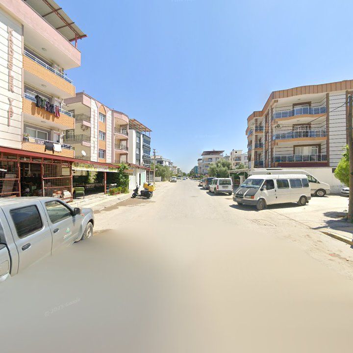 Fotoğraf 8