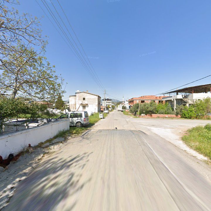 Fotoğraf 4