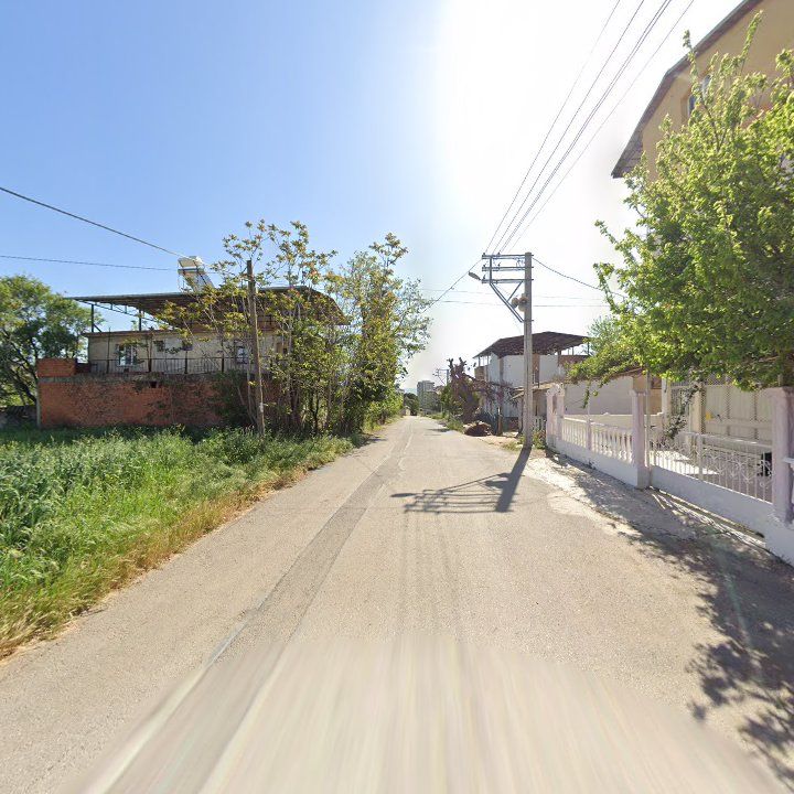 Fotoğraf 2