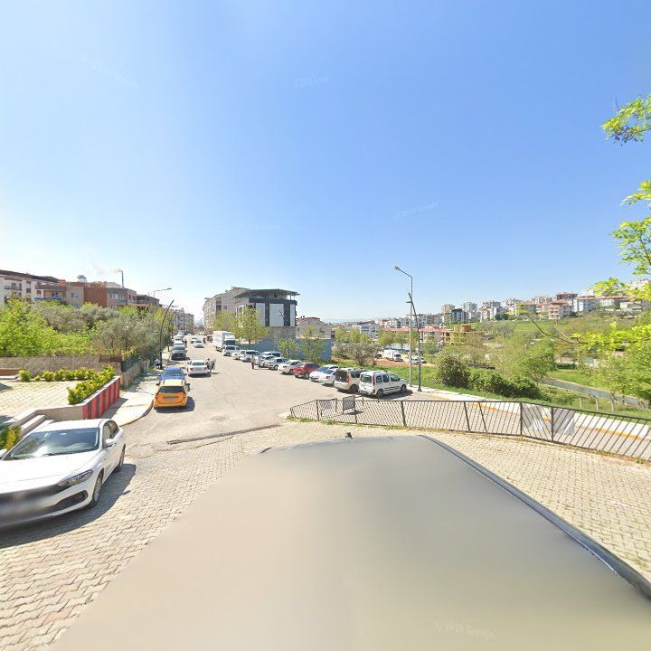 Fotoğraf 8