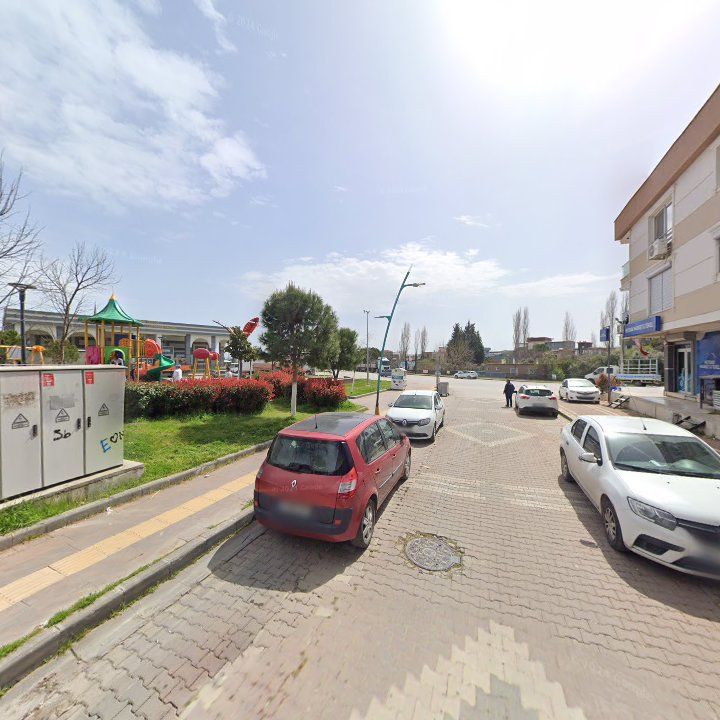 Fotoğraf 7