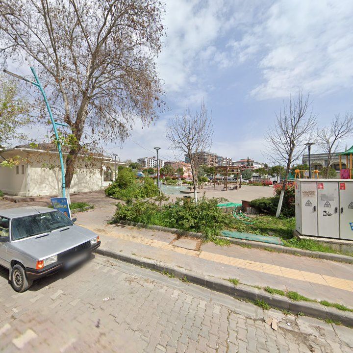 Fotoğraf 6
