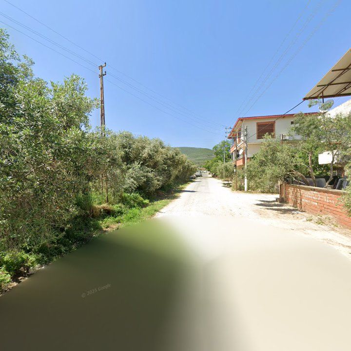 Fotoğraf 9