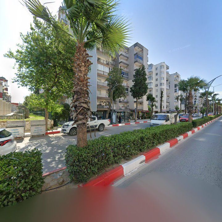 Fotoğraf 12
