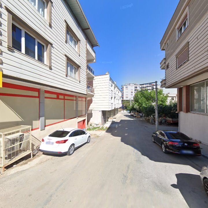 Fotoğraf 10