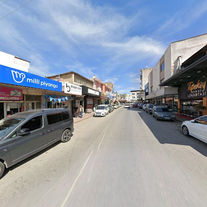 Fotoğraf 8