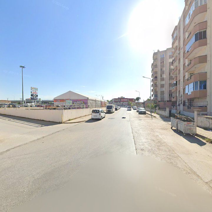 Fotoğraf 7