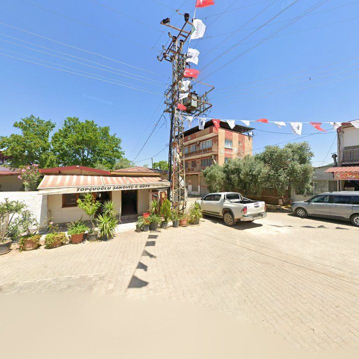 Fotoğraf 3