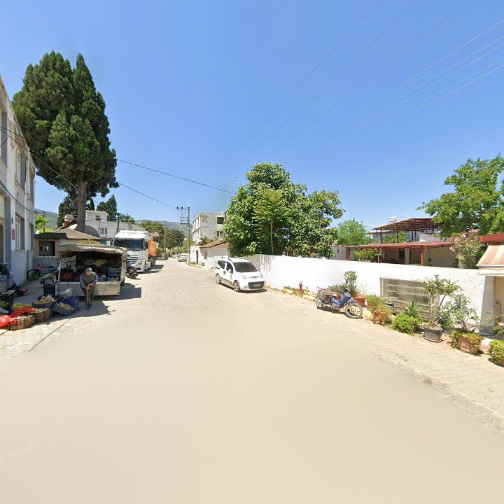 Fotoğraf 6