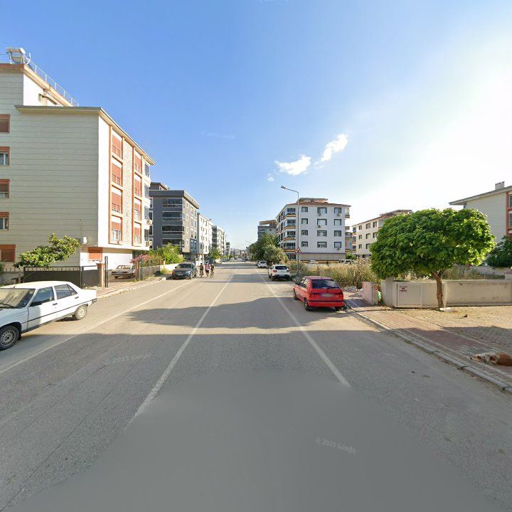 Fotoğraf 7