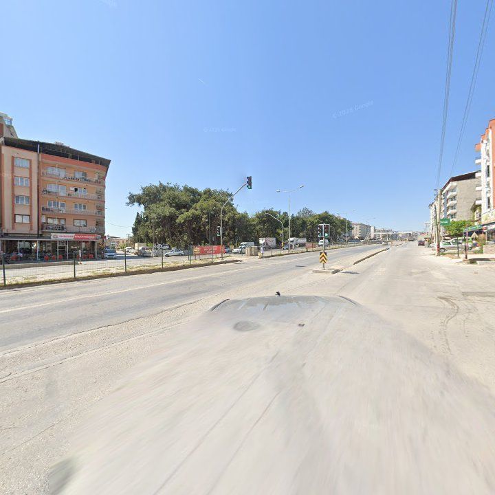 Fotoğraf 11