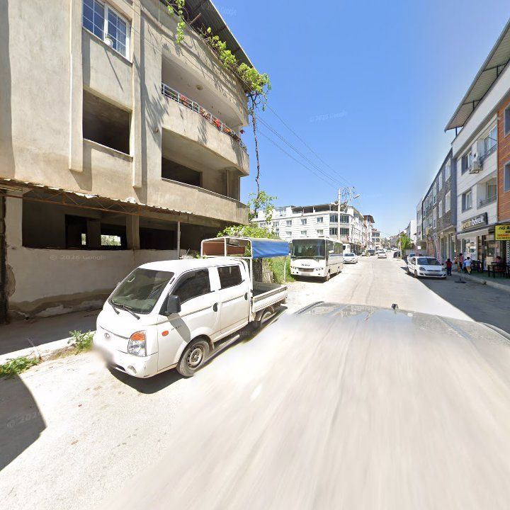 Fotoğraf 8