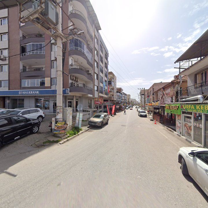 Fotoğraf 11