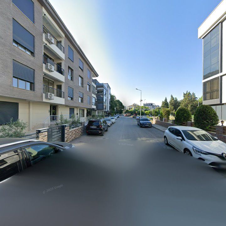 Fotoğraf 13