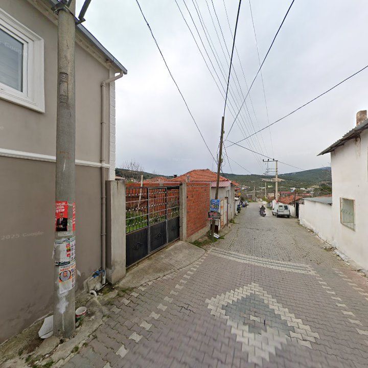 Fotoğraf 7