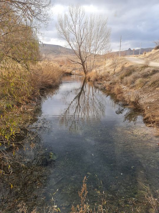 Yorum fotoğrafı 3