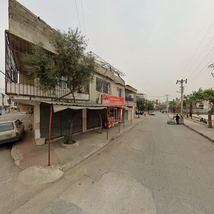 Fotoğraf 5