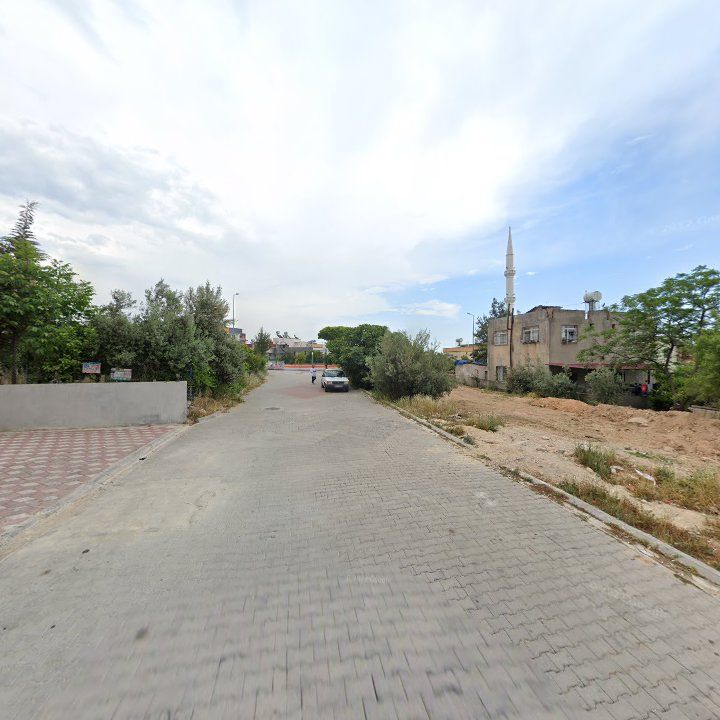 Fotoğraf 5