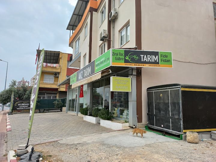 Anıt Cafe