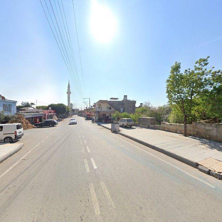 Fotoğraf 3