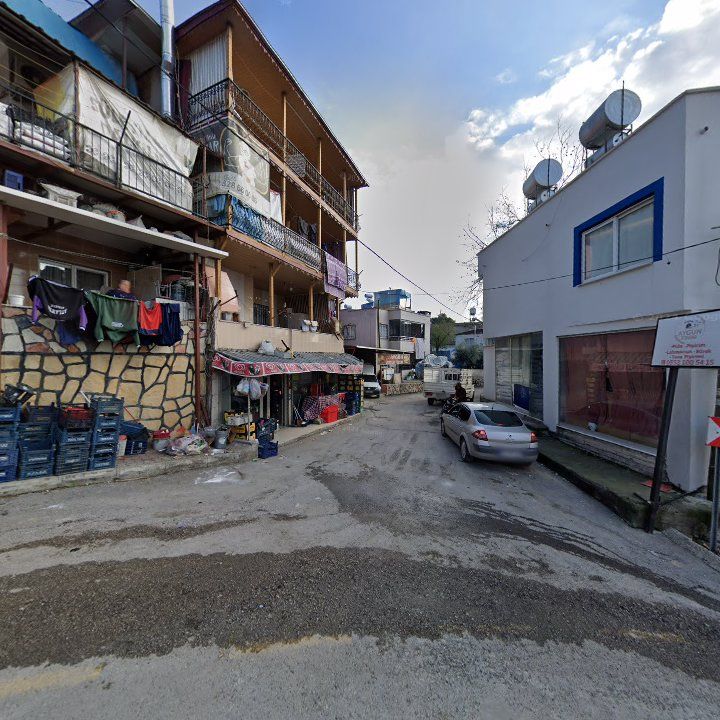 Fotoğraf 3