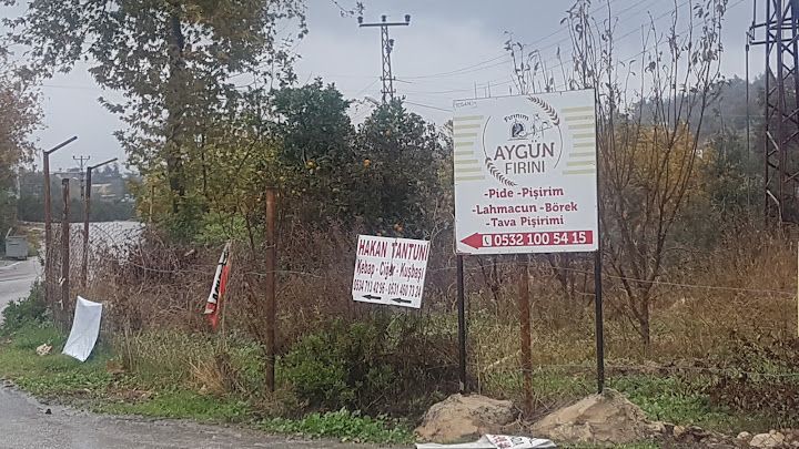 Fotoğraf 2