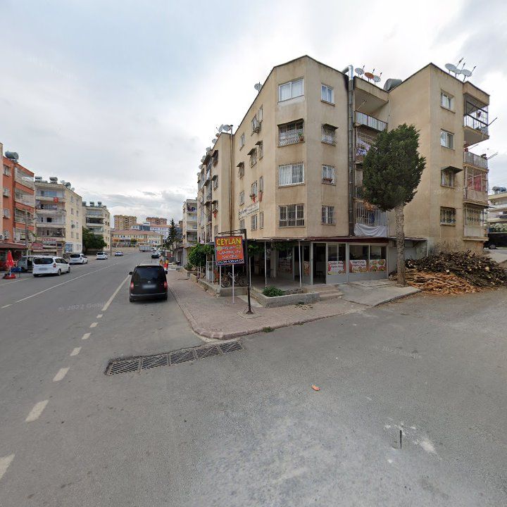 Fotoğraf 5