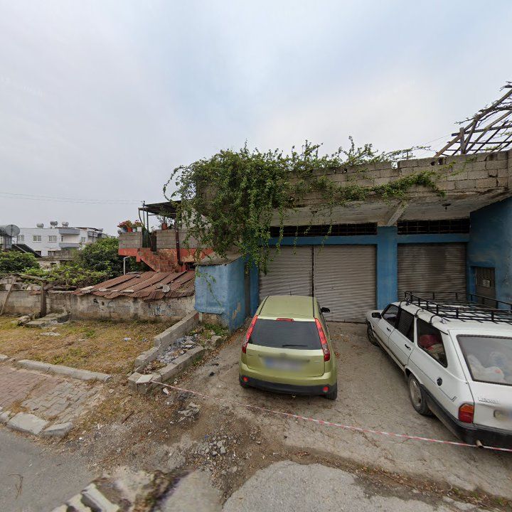 Fotoğraf 3