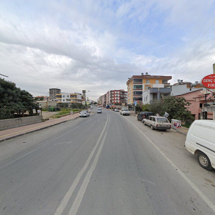 Fotoğraf 5