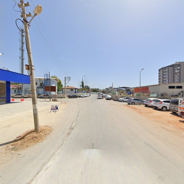 Fotoğraf 3