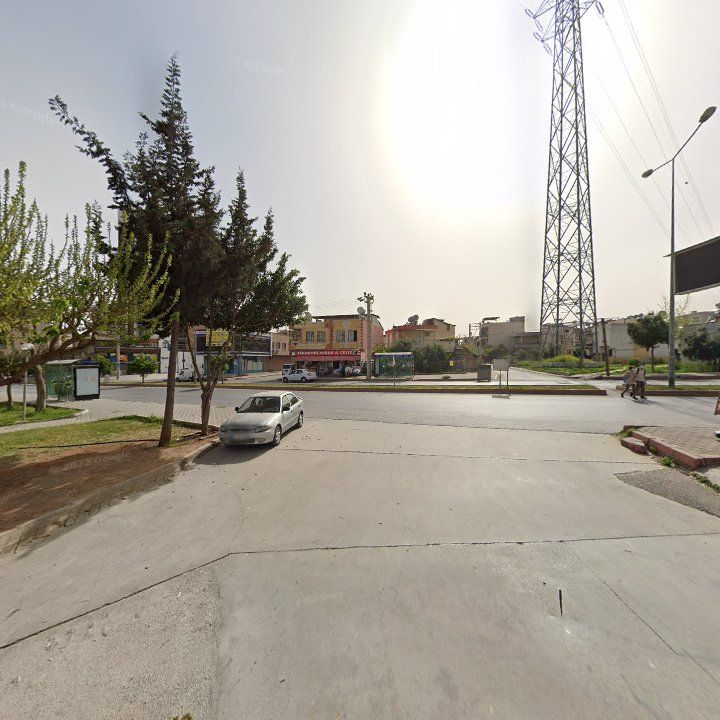Fotoğraf 4