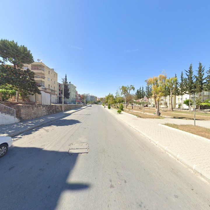 Fotoğraf 3